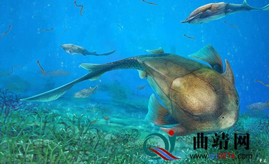 曲靖一条4.23亿年前的古鱼化石 破解人类颌骨来源之谜