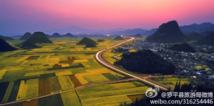 第十六届中国云南罗平国际油菜花文化旅游节1月20日开幕